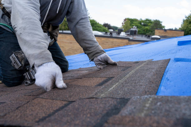Best Storm Damage Roof Repair  in Lake Waccamaw, NC